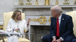 Meloni in contatto con Trump e altri leader Ue