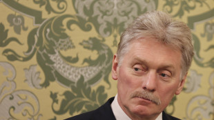 Cremlino, 'sui piani di pace molte notizie false'