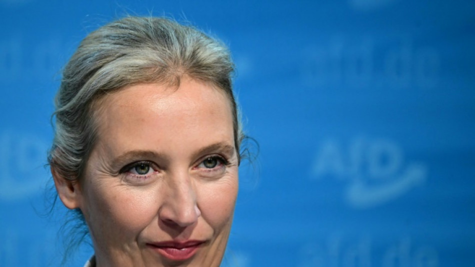 Alice Weidel, la Dame de fer de l'extr&ecirc;me droite allemande