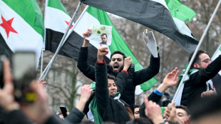 Les Syriens d'Allemagne exultent apr&egrave;s la chute du r&eacute;gime Assad