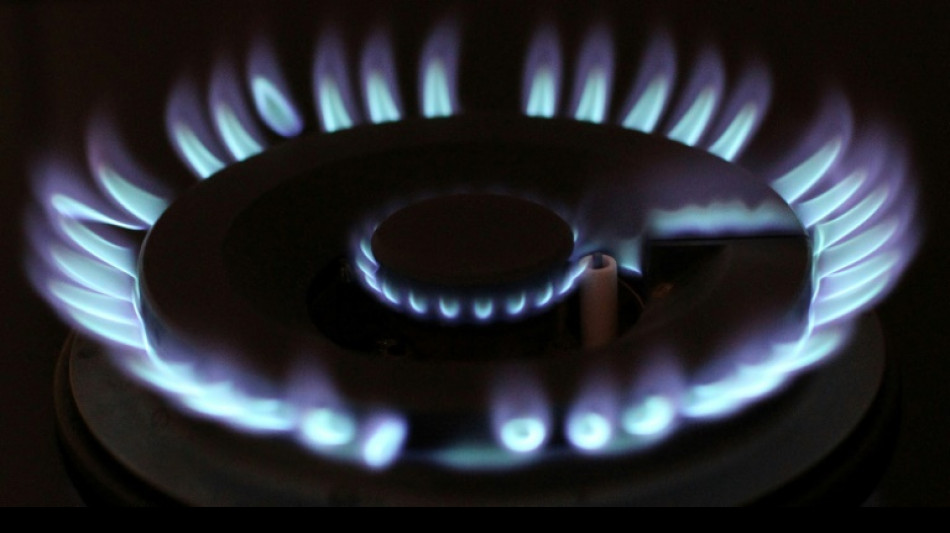 Deutsche Industrie fordert Zustimmung zu europ&auml;ischem Gas-Notfallplan