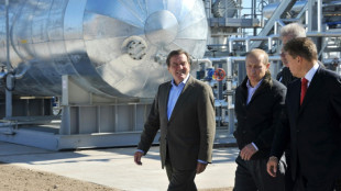 Entre Berl&iacute;n y Mosc&uacute;, el inc&oacute;modo Gerhard Schr&ouml;der