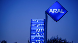 Gestiegene Spritpreise: Kartellamtschef d&auml;mpft Hoffnungen auf rasche Abhilfe