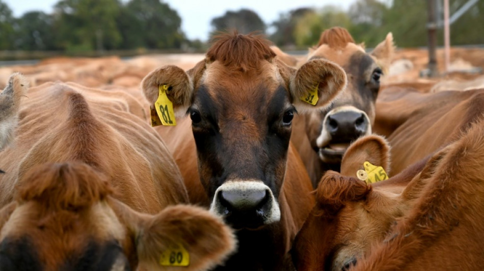 &Ouml;zdemir verteidigt Agrarpaket und gelobt weiteren Einsatz f&uuml;r B&uuml;rokratieabbau