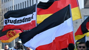 Verfassungsschutzbericht: Zahl der Extremisten und Gewaltbereiten 2024 gestiegen