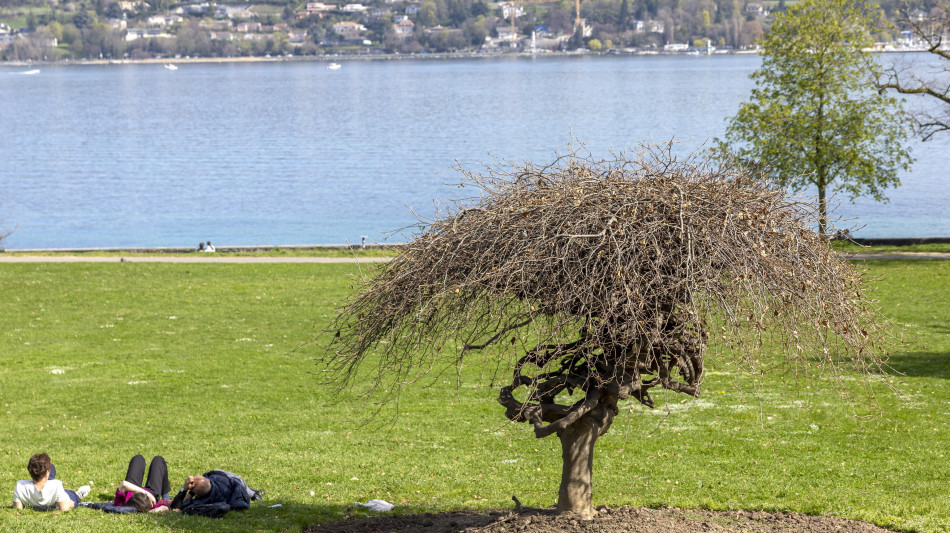 Colloqui a Ginevra sui dazi in corso lontano da occhi indiscreti