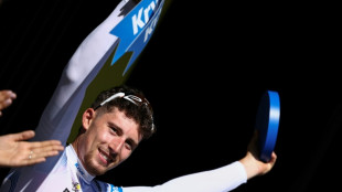 Tour de France: Kévin Vauquelin, à l'aise dans la cour des grands