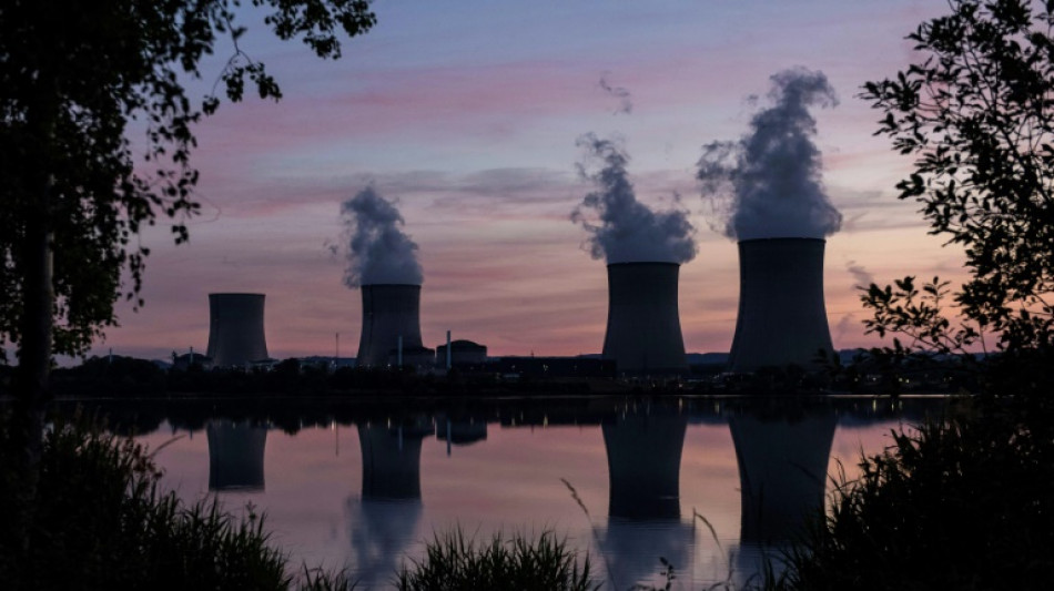 EDF: d&eacute;couverte d'autres fissures "non n&eacute;gligeables" dans deux r&eacute;acteurs