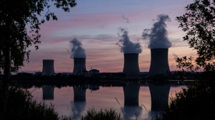 EU nations quarrel over whether nuclear, gas are 'green'