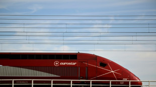 Incident "r&eacute;solu" dans le Tunnel sous la Manche, le trafic reprend progressivement