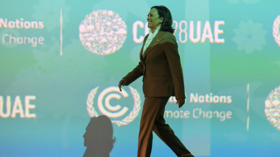 Climat: Donald Trump &agrave; plein gaz sur la d&eacute;sinformation face &agrave; Kamala Harris