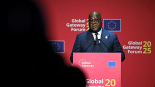 RDC: &agrave; Bruxelles, Tshisekedi tend la main &agrave; Kagame pour faire "la paix"