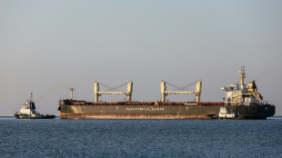 Trois nouveaux chargements de c&eacute;r&eacute;ales ont quitt&eacute; l'Ukraine 