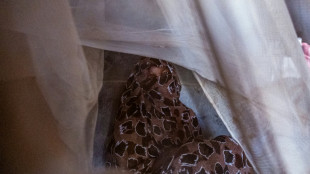 "La sangre segu&iacute;a corriendo": el testimonio de los sobrevivientes de la masacre de El Fasher, en Sud&aacute;n