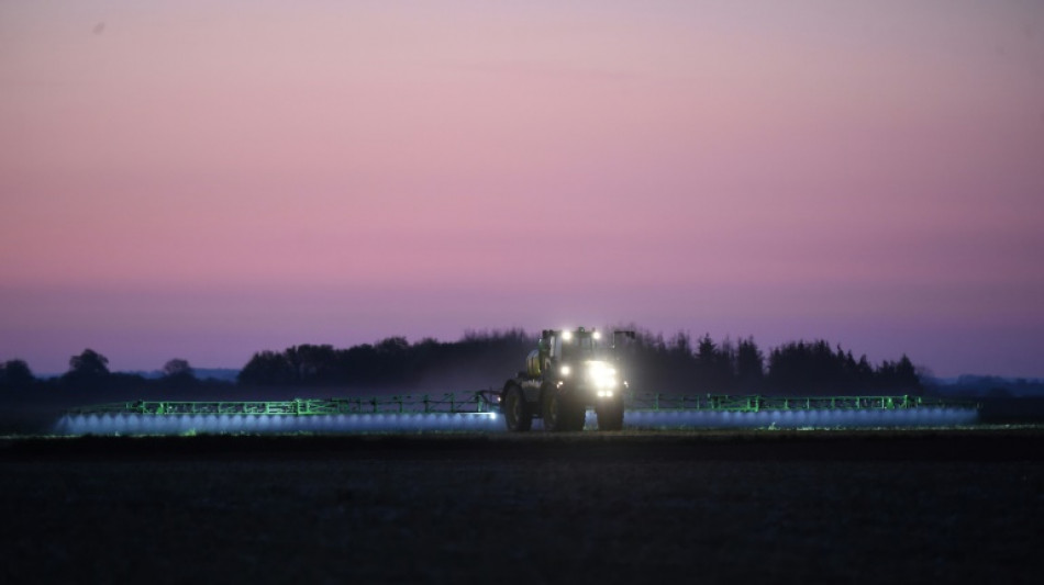 Bayer trabaja en la elaboraci&oacute;n de un sustituto del glifosato