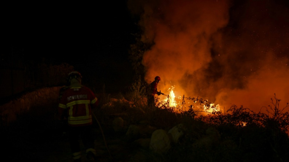 Pilot stirbt bei Absturz eines L&ouml;schflugzeugs in Portugal