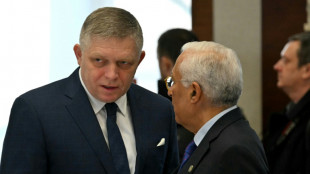 Eslovaquia autoriza el sacrificio de 350 osos pese a una directiva de la UE