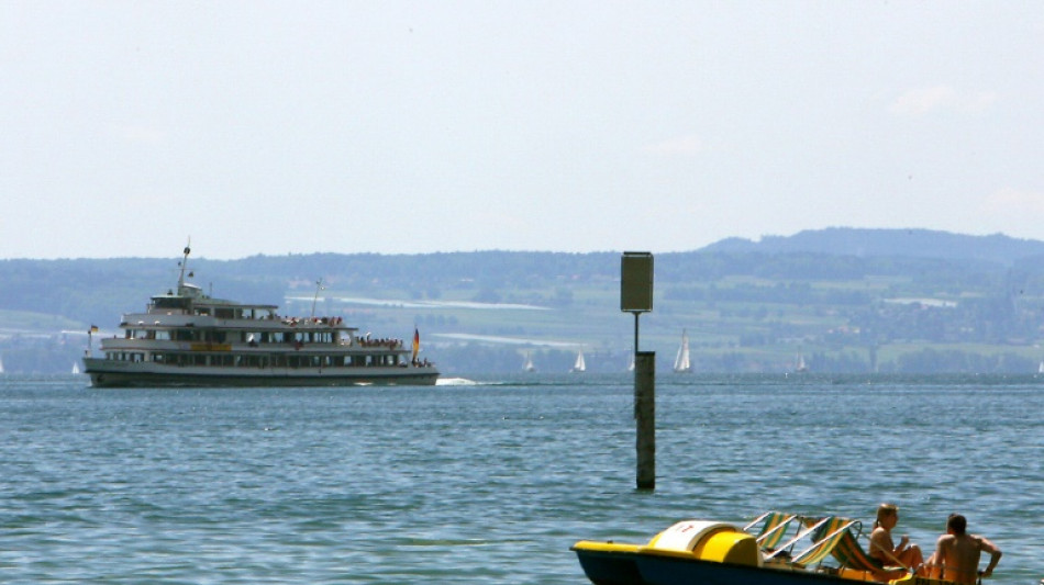 Spazierg&auml;nger findet mehr als 100 tote Fische im Bodensee