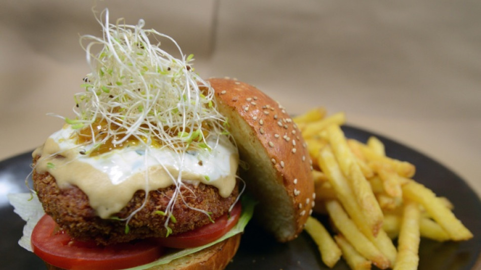 EU-Parlament stimmt &uuml;ber Namensverbot f&uuml;r Veggie-Burger ab