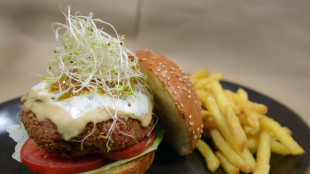 EU-Parlament stimmt &uuml;ber Namensverbot f&uuml;r Veggie-Burger ab