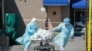 Cinco datos sobre la pandemia que deja un mill&oacute;n de muertos en EEUU