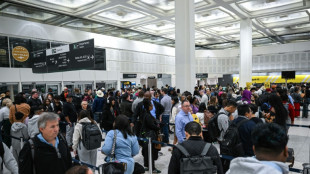 Haushaltsstreit: Trump will ICE-Mitarbeiter an Flugh&auml;fen einsetzen