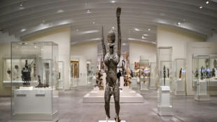 New York's Met museum sheds new light on African art collection