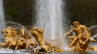 Pal&aacute;cio de Versalhes finaliza preparativos para receber hipismo nos Jogos de Paris
