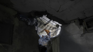 El ej&eacute;rcito israel&iacute; transforma en "zona de seguridad" al 30% de la Franja de Gaza