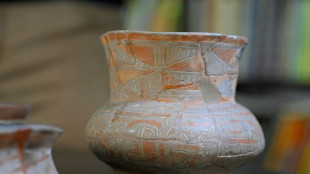 En Equateur, les vestiges de la "Cit&eacute; perdue" menac&eacute;s