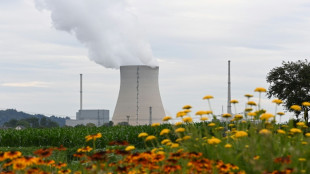 Baerbock h&auml;lt Akw-Weiterbetrieb "nicht f&uuml;r den richtigen Schritt"