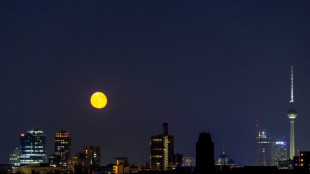 Neuer Nachtzug nach Berlin: European Sleeper k&uuml;ndigt Verbindung von Paris ab M&auml;rz an