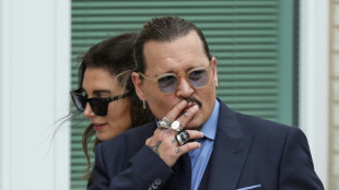Financiaci&oacute;n saudita para la pr&oacute;xima pel&iacute;cula de Johnny Depp, ambientada en Francia