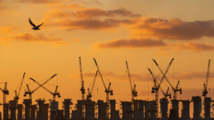 Solaire et &eacute;olien contribuent en milliards aux finances de l'&Eacute;tat, selon la fili&egrave;re