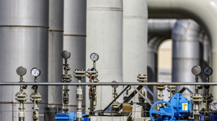 Il gas in calo a 44 euro con temperature miti e pi&ugrave; Gnl