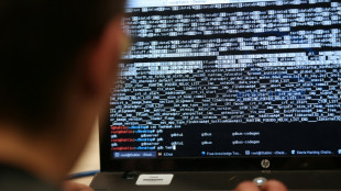 "Welt": Cyberkriminalit&auml;t im Inland gesunken - Angriffe aus dem Ausland nehmen zu