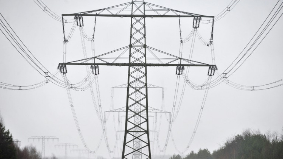 Gr&uuml;nes Licht f&uuml;r Strompreissubvention f&uuml;r energieintensive Industrie