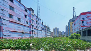 Environnement, travail forc&eacute;: l'UE impose un "devoir de vigilance" aux entreprises