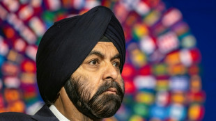 La Banque mondiale devra devenir "plus grosse" face aux d&eacute;fis mondiaux