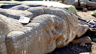 Arque&oacute;logos reconstituyen los "tesoros de Mesopotamia" destruidos en Irak por los yihadistas