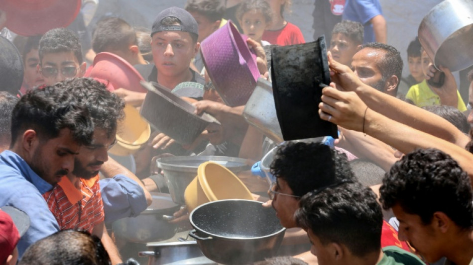 Gaza: la D&eacute;fense civile fait &eacute;tat de 76 personnes tu&eacute;es par des tirs isra&eacute;liens