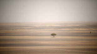 Le "sacrifice" de leur fils d&eacute;jou&eacute;, deux Fran&ccedil;ais bient&ocirc;t extrad&eacute;s d'Espagne