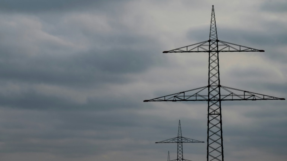 Prepper aus Bayern planten offenbar Anschl&auml;ge auf Masten gro&szlig;er Stromtrassen