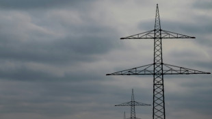 Prepper aus Bayern planten offenbar Anschl&auml;ge auf Masten gro&szlig;er Stromtrassen