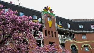 A Roubaix, l'histoire se r&eacute;p&egrave;te pour tenter de sauver le quartier de l'Alma-gare 