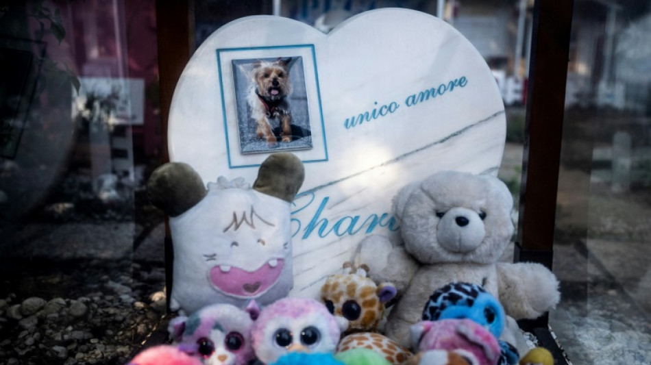 La poule de Mussolini, star du cimeti&egrave;re pour animaux de Rome