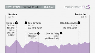 La 20e étape du Tour de France: le jour des "survivants"