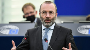 Weber findet EU verteidigungspolitisch "nackt in einer Welt voll St&uuml;rmen"