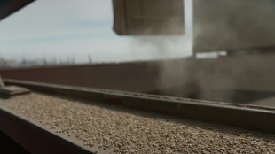 Scholz e Zelensky pedem extens&atilde;o do acordo de exporta&ccedil;&atilde;o de gr&atilde;os