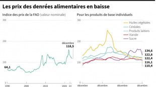 Les prix alimentaires mondiaux ont baiss&eacute; de 13,7% en 2023, selon la FAO